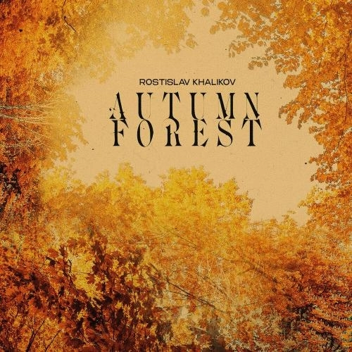 Autumn Forest