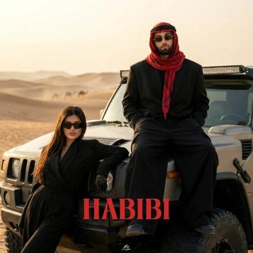 HABIBI