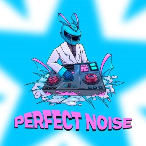 PERFECT NOISE