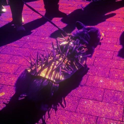 последнее лето 2.0