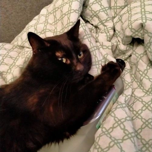 Прощальная