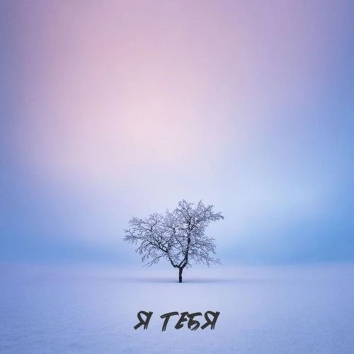 Я тебя