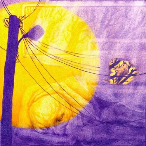 фиолетовый февраль