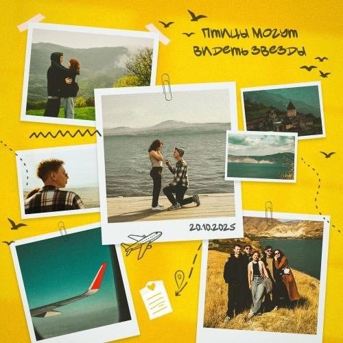 Птицы могут видеть звезды