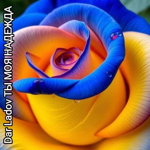 ТЫ МОЯ НАДЕЖДА