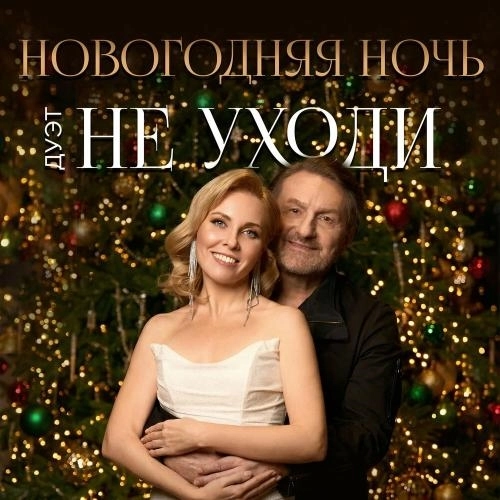 Новогодняя ночь