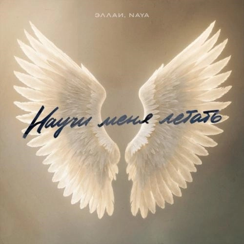 Научи меня летать