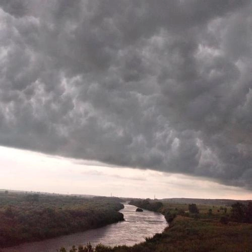 Без названия