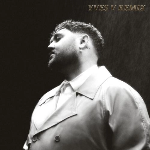 Fall in Your Arms (Remix)