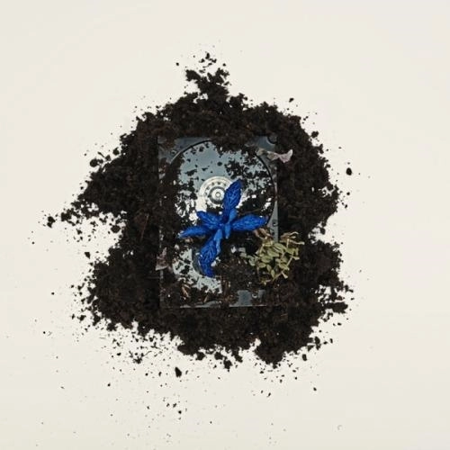 Замри (Pure version)