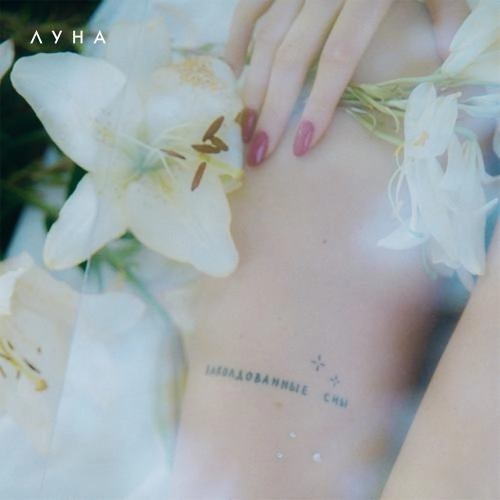 Тропик Козерога