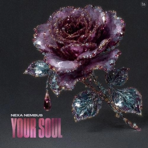 Your Soul
