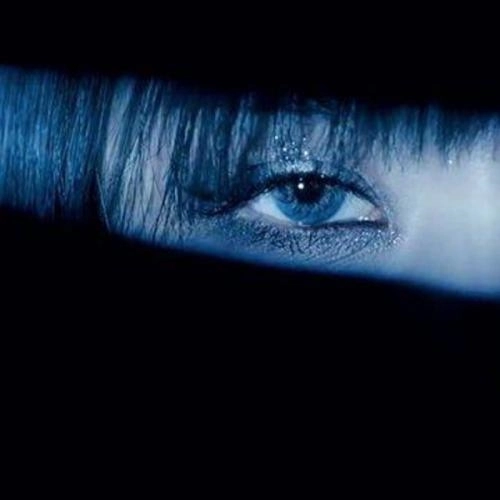 Рябина в саду 2.0