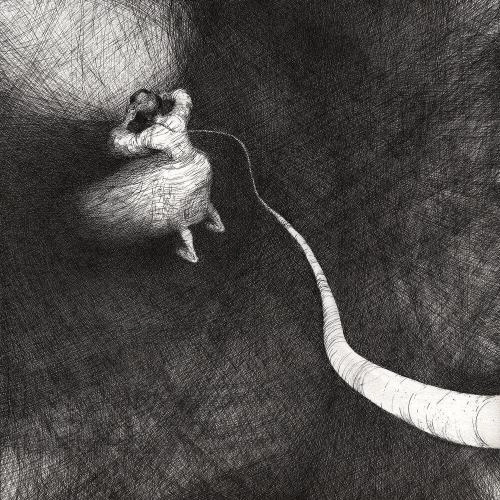 Привет из жёлтого дубая