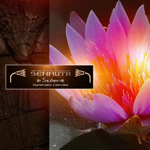 Танцуя на глади предвечных вод