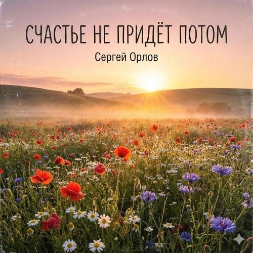 Счастье не придёт потом