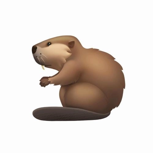 Бобр (Remake «Зимний сон»)