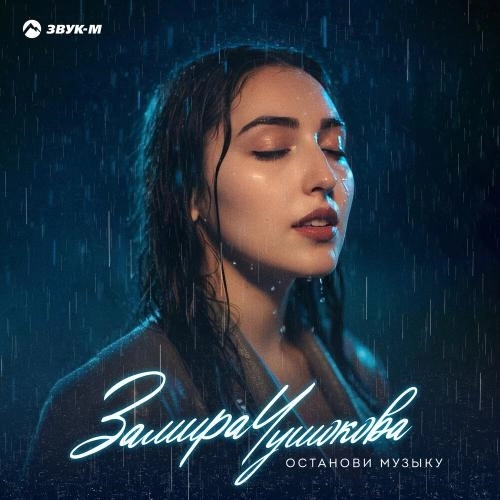 Останови музыку